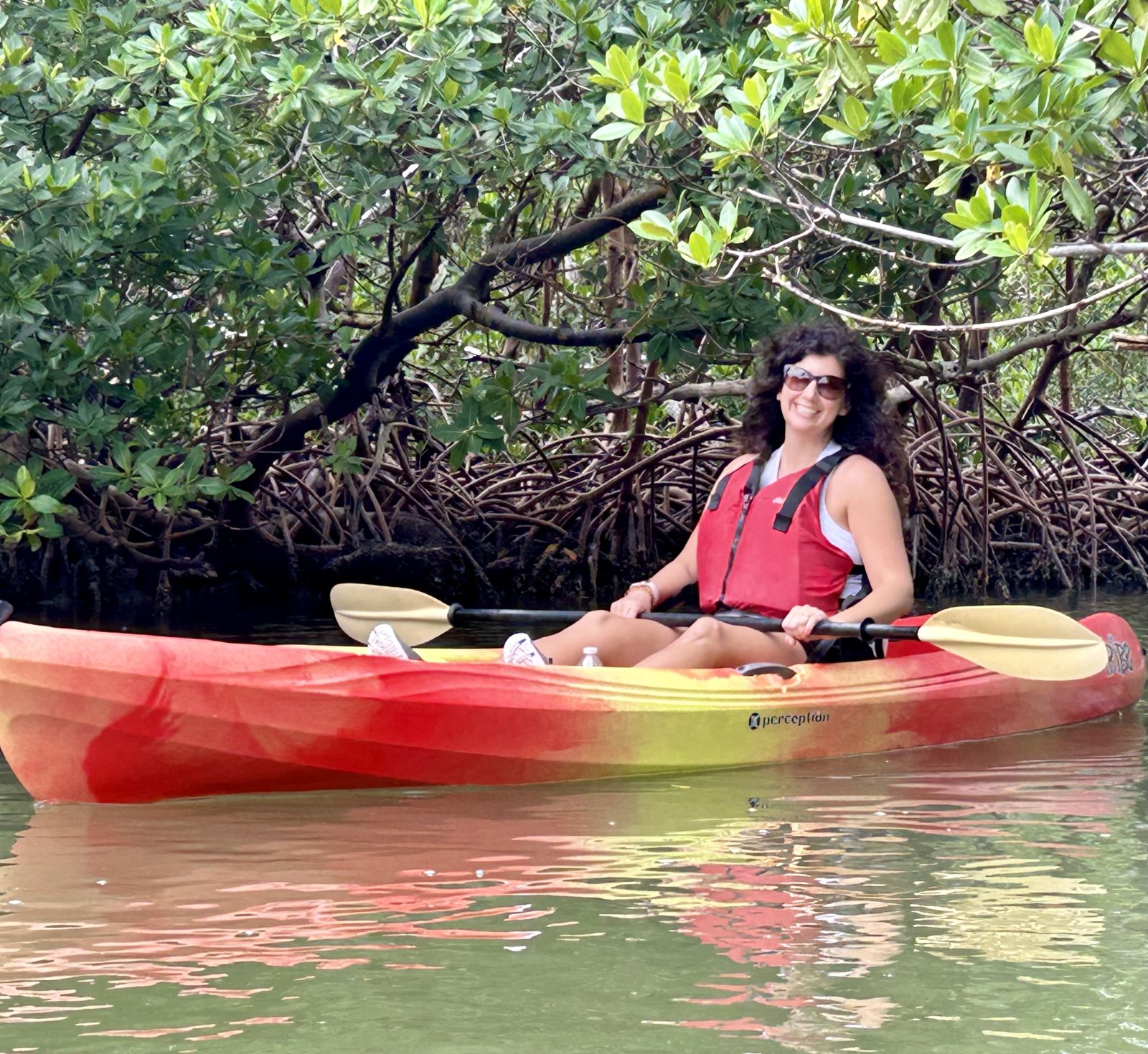 Going through the mangroves